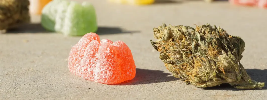 How to Find the Best Recreational Dispensary Nearby How to Find the Best Recreational Dispensary Nearby?