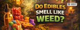 Do Edibles Smell Like Weed Do Edibles Smell Like Weed